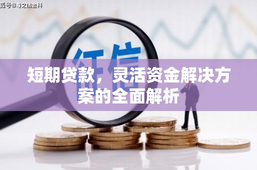 鹿草短期贷款，灵活资金解决方案的全面解析