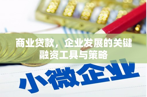 鹿草商业贷款，企业发展的关键融资工具与策略
