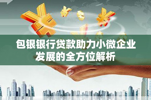 鹿草包银银行贷款助力小微企业发展的全方位解析