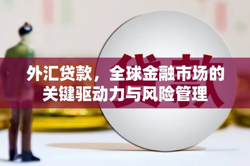 鹿草外汇贷款，全球金融市场的关键驱动力与风险管理