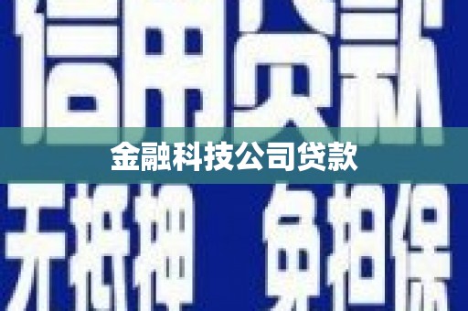 鹿草金融科技公司贷款