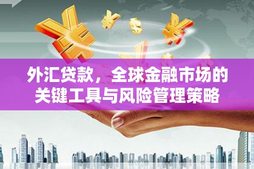 鹿草外汇贷款，全球金融市场的关键工具与风险管理策略