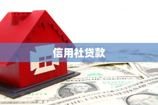 鹿草信用社贷款