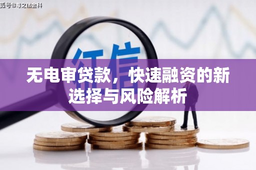 鹿草无电审贷款，快速融资的新选择与风险解析