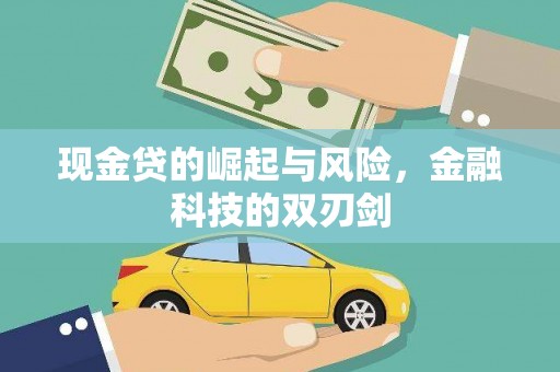 鹿草现金贷的崛起与风险，金融科技的双刃剑