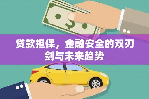 鹿草贷款担保，金融安全的双刃剑与未来趋势