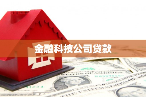 鹿草金融科技公司贷款