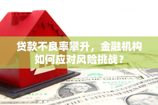 鹿草贷款不良率攀升，金融机构如何应对风险挑战？