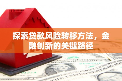 鹿草探索贷款风险转移方法，金融创新的关键路径