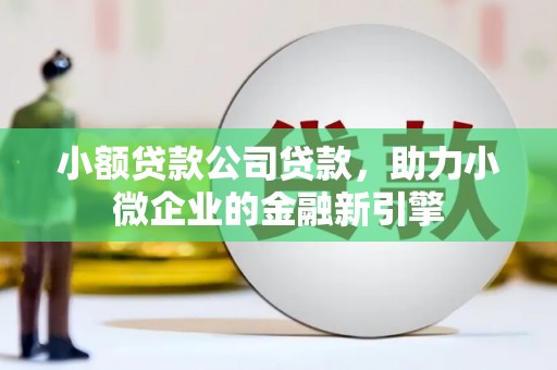 鹿草小额贷款公司贷款，助力小微企业的金融新引擎