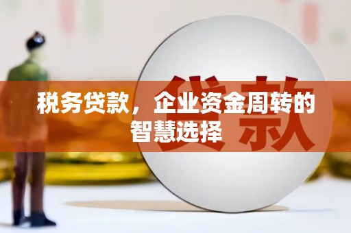 鹿草税务贷款，企业资金周转的智慧选择