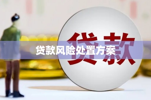 鹿草贷款风险处置方案