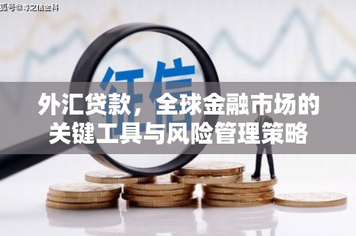 鹿草外汇贷款，全球金融市场的关键工具与风险管理策略