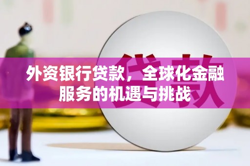 鹿草外资银行贷款，全球化金融服务的机遇与挑战
