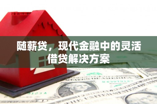 鹿草随薪贷，现代金融中的灵活借贷解决方案