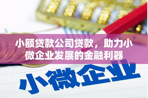 鹿草小额贷款公司贷款，助力小微企业发展的金融利器