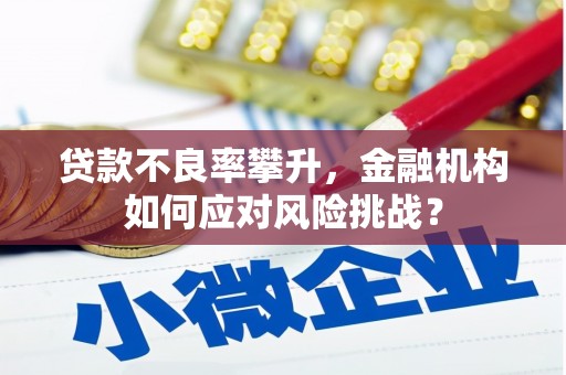 鹿草贷款不良率攀升，金融机构如何应对风险挑战？