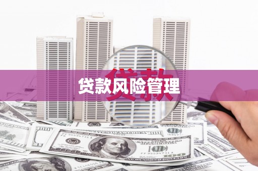 鹿草贷款风险管理