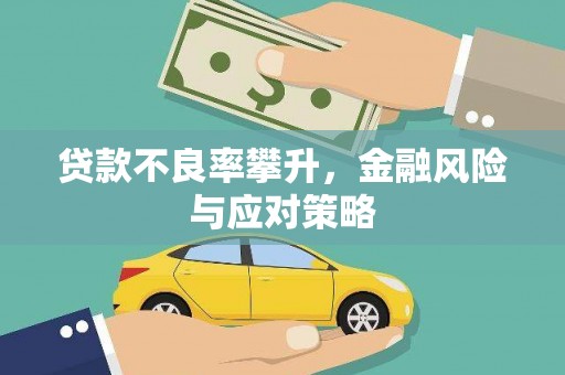 鹿草贷款不良率攀升，金融风险与应对策略