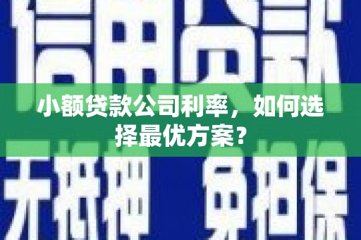 鹿草小额贷款公司利率，如何选择最优方案？