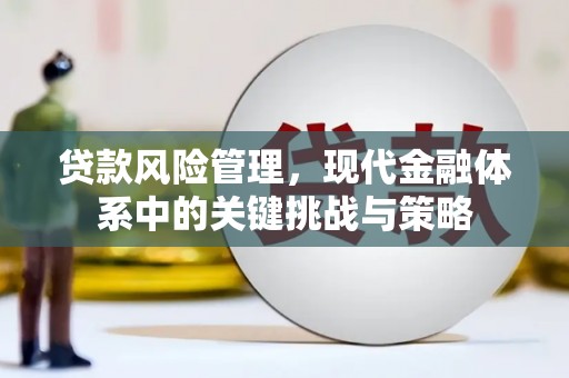 鹿草贷款风险管理，现代金融体系中的关键挑战与策略