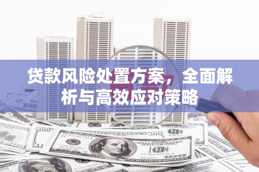 鹿草贷款风险处置方案，全面解析与高效应对策略