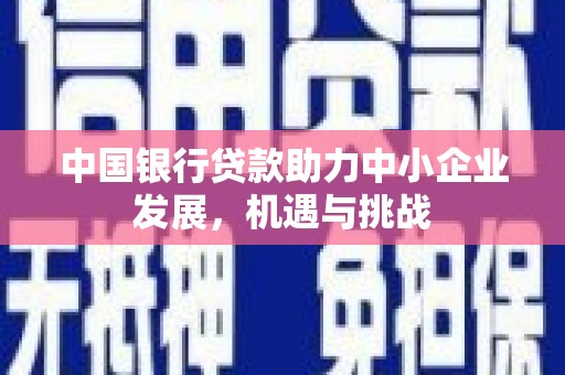 鹿草中国银行贷款助力中小企业发展，机遇与挑战