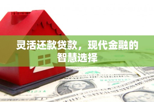 鹿草灵活还款贷款，现代金融的智慧选择