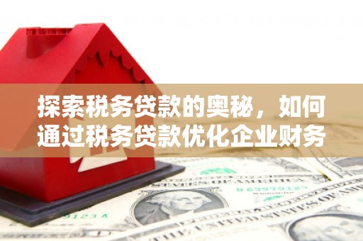 鹿草探索税务贷款的奥秘，如何通过税务贷款优化企业财务