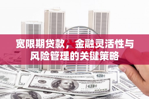 鹿草宽限期贷款，金融灵活性与风险管理的关键策略