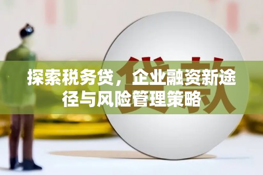 鹿草探索税务贷，企业融资新途径与风险管理策略