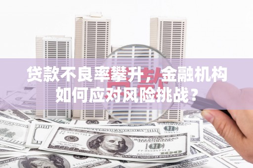 鹿草贷款不良率攀升，金融机构如何应对风险挑战？