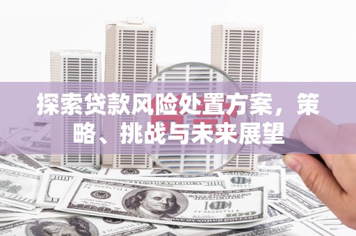 鹿草探索贷款风险处置方案，策略、挑战与未来展望