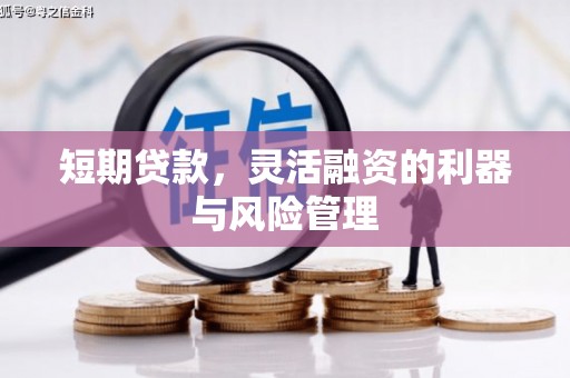 鹿草短期贷款，灵活融资的利器与风险管理