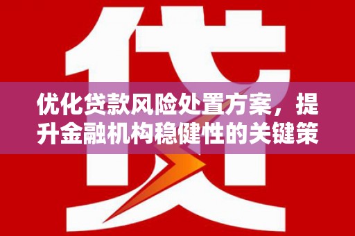 鹿草优化贷款风险处置方案，提升金融机构稳健性的关键策略