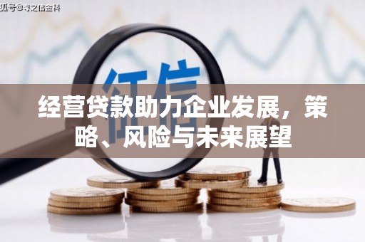 鹿草经营贷款助力企业发展，策略、风险与未来展望
