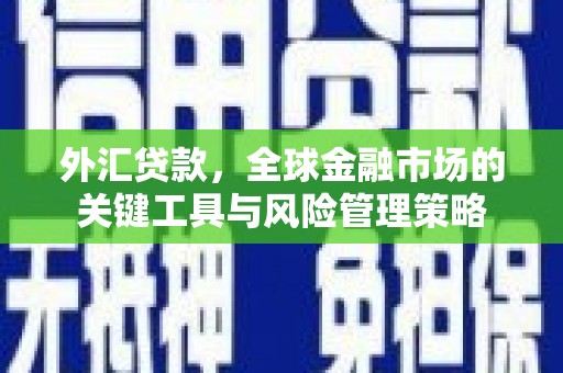 鹿草外汇贷款，全球金融市场的关键工具与风险管理策略