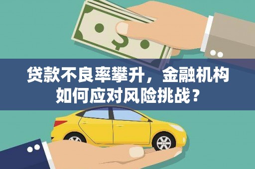 鹿草贷款不良率攀升，金融机构如何应对风险挑战？