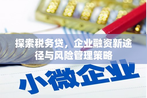 鹿草探索税务贷，企业融资新途径与风险管理策略