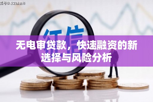 鹿草无电审贷款，快速融资的新选择与风险分析