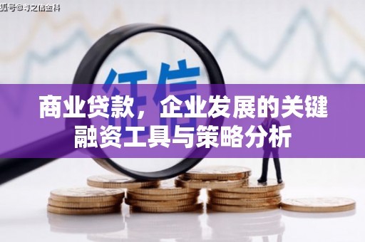 鹿草商业贷款，企业发展的关键融资工具与策略分析