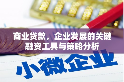 鹿草商业贷款，企业发展的关键融资工具与策略分析