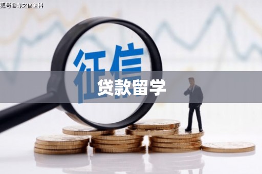 鹿草贷款留学