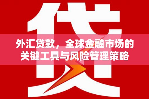 鹿草外汇贷款，全球金融市场的关键工具与风险管理策略
