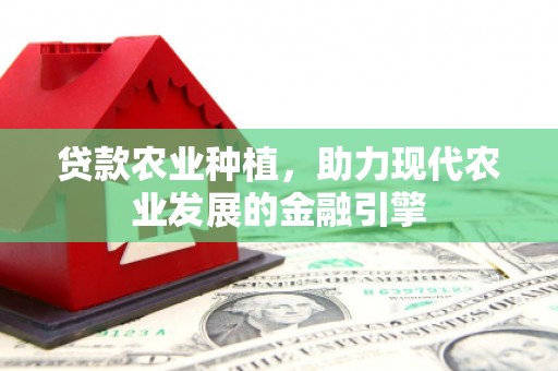 鹿草贷款农业种植，助力现代农业发展的金融引擎