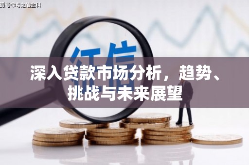 鹿草深入贷款市场分析，趋势、挑战与未来展望