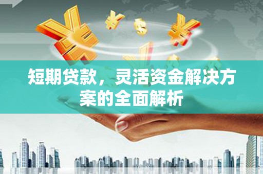鹿草短期贷款，灵活资金解决方案的全面解析