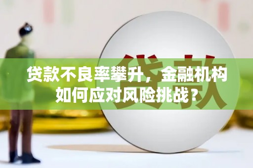 鹿草贷款不良率攀升，金融机构如何应对风险挑战？