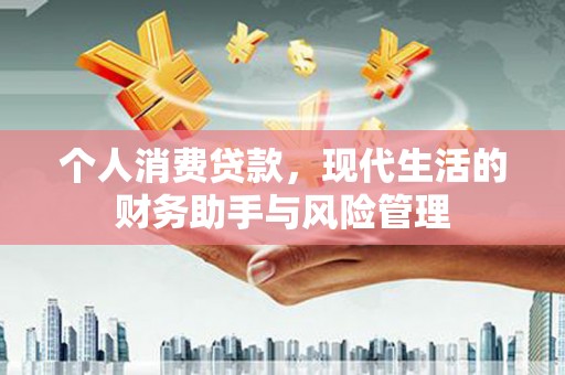鹿草个人消费贷款，现代生活的财务助手与风险管理