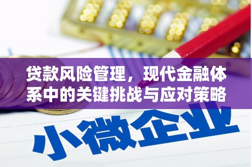 鹿草贷款风险管理，现代金融体系中的关键挑战与应对策略